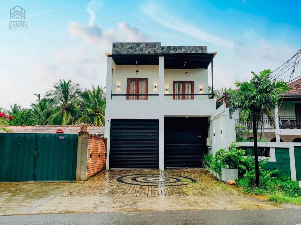 Urban Palm Villa Анурадхапура Экстерьер фото